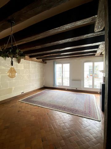 Duplex de charme en plein coeur de Tours