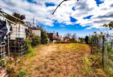 PRIME PROPERTIES by Daniela sells rustic property of almost 500 m2 of rustic land (no taxes are paid) in activity in Güímar alto. ~~On two levels, the bottom one with motorhome, awning, kitchen, inverter tank of 200 liters and outdoor shower and chem...