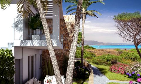 Residential Complex Paloma consists of terraced two-family and three-family houses with a splendid sea-view . The ground floor villas are composed of 3 rooms with a garden and are ideal for who is searching for a huge space and spending some time out...