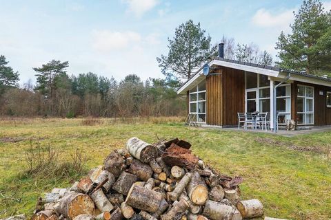 Jasny domek położony w malowniczej okolicy Lyngså na bardzo dużej działce naturalnej i zaledwie 1 km od plaży przyjaznej dzieciom. Domek jest nowocześnie urządzony w jasnych kolorach z jasną kuchnią/jadalnią z dobrą dużą jadalnią w otwartym połączeni...