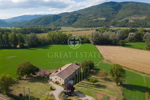 This beautiful farmhouse of about 580 sqm is divided into three flats: two large and one small service flat. On the ground floor, we have a large flat consisting of a very large open space where we find a cooking area, a dining area and a relaxation ...