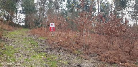 Rustic land with 4,504 m2 in Serafão Flat land with 4,504 m2, with trees, near the center of the parish. Ideal for warehouse or shipyard. Good access, located between Fafe, Guimarães and Póvoa de Lanhoso. Union of parishes of Agrela and Serafão By de...