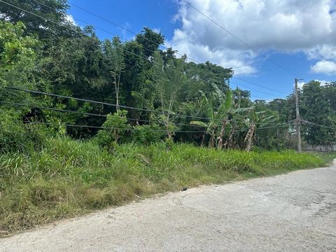 Imagine a ten (10) minute drive from Ocho Rios to call home. This property, a stone's throw from White River and a short distance from the main road allows this and more. Approximately a quarter (1/4) acre lot, easy to build on in Marvins Park can be...