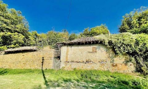 SUPRIMMO agency: ... We offer for sale a house with a size of 120 sq.m. , in a small village with mineral healing water, only 11 km away. from Fr. Polish Trambesh. The property is located at the end of the settlement and to it belongs a lot of land o...