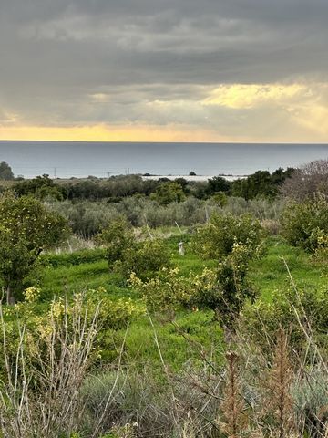 Agriculture land for sale PAFOS KISSONERGA PARCEL AREA (Sq.m) - 4229m PLANNING ZONE Г3 AFFECTED PERCENTAGE of 100% DENSITY of 0.1 COVERAGE 0.1 FLOORS 2 HEIGHT (meters) 8,3