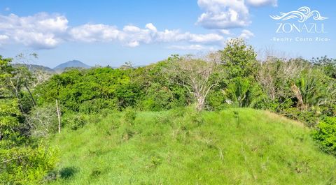 Nestled in the heart of the highly sought-after Manzanillo region, this pristine piece of land offers a golden opportunity for your dream investment. Spanning an impressive 13,000 square meters, the property boasts an ideal location just 4 minutes aw...