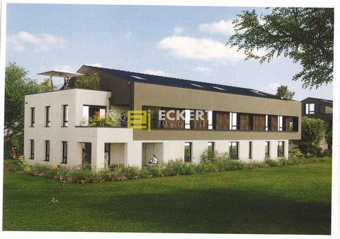 New ECKERT IMMOBILIER In Griesheim near Molsheim, 5 minutes from Molsheim, Rosheim and Obernai, Very nice location, quiet, for this magnificent residence composed of 2 small buildings representing a total of 14 apartments. Discover this apartment loc...