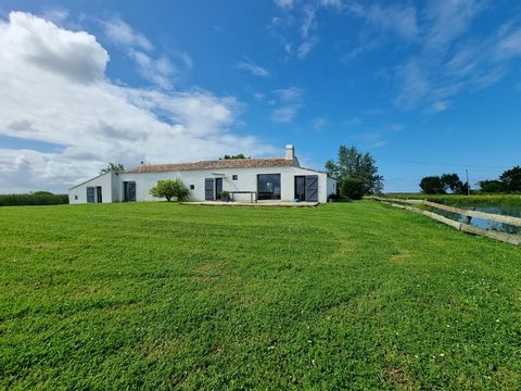 IN THE HEART OF THE MARSH, in the commune of Bouin, with no neighbours nearby with a view of the fauna and flora, on a large plot of 1.5 hectares, there is a lean-to with window to observe the landscape, CHARMING spacious and bright FARMHOUSE of 167 ...