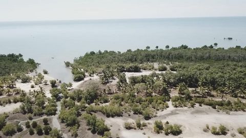 Land verdeeld in 2 titel- en begrensde percelen Niet bereikbaar over de weg 18 km kustlijn inclusief stranden beschermd door mangroven in de buurt van Nosy-Be kust uitzicht op de bergen (Mount Ambato) en de zee Bos veel fruitbomen - drinken warmwater...