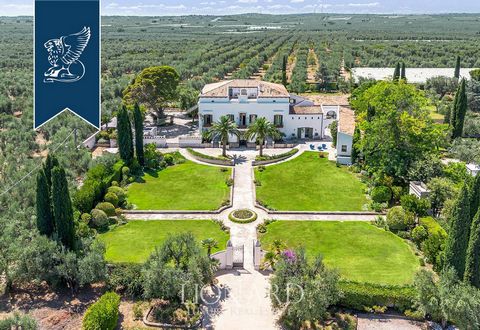 The mentioned villa-Masseria is located in the Apulia region in Italy, near the city of Trani. This is an old estate dating from 1441, and is a historical monument with great cultural value. It was carefully restored in 1992 with the preservation of ...