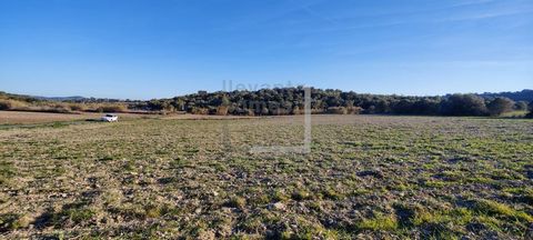 Rustic land of 5,736 m2 non-buildable with easy access with asphalt road in the area of Sa Grua. We have another plot of land of 1,336 m2 in the same area with water supply for 10,000.-€ And in Son Carrrió we have another plot of land of 9,270 m2 for...