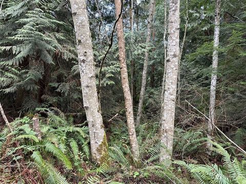 Five Acres of Peace and Quiet! An evergreen forest haven ready for you to carve a place to call your own. Do you have an adventurous spirit? Build a home with the trees on this property. In an area with good wells and conventional septic systems. Ele...