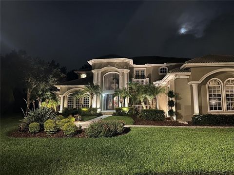 GORGEOUS EXECUTIVE HOME, ENTERTAINER'S DREAM HOME in desirable NEW TAMPA- Luxurious, Renovated Tampa Palms Home: 11ft 1st Floor Ceilings and TONS of Storage. The current homeowner EXPANDED the home's living space by adding a new floor to the previous...