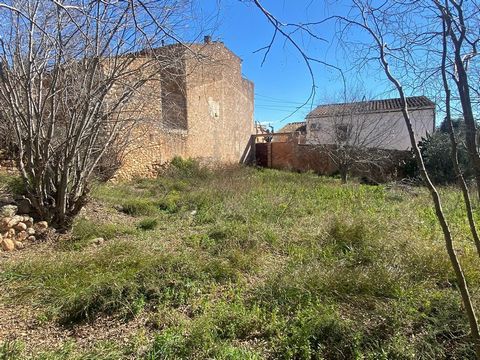 AGROCAT SELLS A UNIQUE RECREATIONAL PROPERTY OF 1000m2 IN ALBINYANA TOTALLY FENCED WITH ORIGINAL STONE WALLS PLUS A HOUSE OF APPROXIMATELY 40m2 TO BE COMPLETELY REHABILITATED. PLENTY OF WATER AND ELECTRICITY PLUS IRRIGATION POND. GROW YOUR OWN FRUITS...