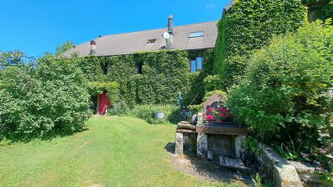 The agency Immoreecht Belfort, offers you exclusively in the town of Fresse, sector of a thousand ponds this magnificent building of character and its park of 35 ares. For lovers of nature and old stones, this house of about 600 m2 is ideal for a lar...