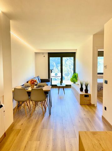 Welcome to the investment opportunity of a lifetime in El Forn - Canillo, Andorra. Let's present an exquisite investment apartment of 50 m2, completely renovated with the most elegant design materials, accompanied by a spacious terrace of 15 m2 that ...