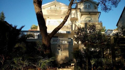 Charmante villa dans les pins directement sur la plage, avec possibilité d'amarrer un yacht ! La villa est située dans un petit quartier charmant de Zaboric non loin de Sibenik ! Il bénéficie d'une vue magnifique sur la mer et de l'intimité! Il n'y a...