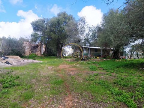 Located in Querença. Old house in need of restoration, with beautiful countryside view, and a total area of 80m2 on a plot of land with 5.170m2, flat, and without large obstructions such as stones with carob culture, almond trees, olive trees, etc. P...