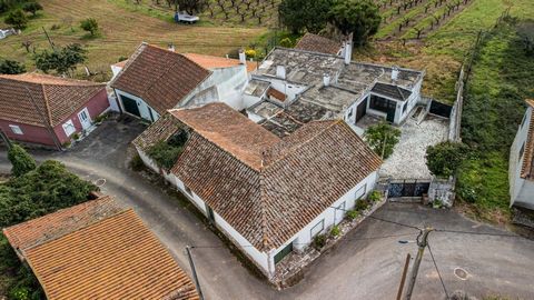 Welcome to your future home in Palhais, a quiet parish of Vilar, in the municipality of Cadaval. This detached house for sale offers a unique opportunity to create an authentic home or invest in a property with history and potential. With an area of ...