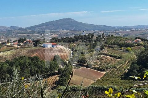 QUINTA DO TAREJO – TAPADA DE MAFRA – REAL ESTATE DEVELOPMENT Sale of Quinta do Tarejo, next to Tapada de Mafra, a UNESCO World Heritage Site. With a project approved by the Municipality of Mafra for the construction and operation of a Tourist Village...