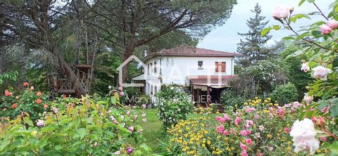 Maryline Sanglier presents this 1960s house built on 2 levels and a full basement, close to the center of Balma on a landscaped plot of 1200m². The house consists, on the ground floor, of a large entrance, a spacious living-dining room with a firepla...