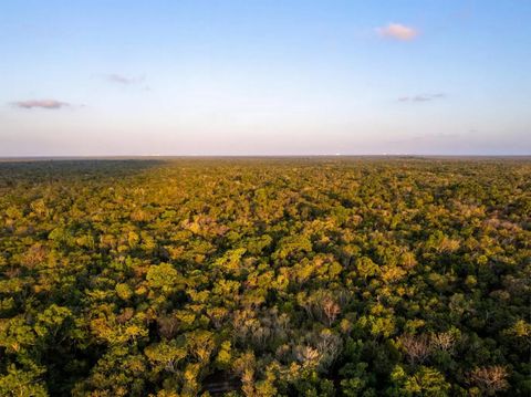 Entdecken Sie eine einzigartige Investitionsmöglichkeit auf der Insel Cozumel, nur 30 Minuten mit der Fähre von Playa del Carmen entfernt. Dieses Land liegt eine kurze 20-minütige Fahrt von der Ostküste der Insel entfernt, 2 km von den Ruinen von San...