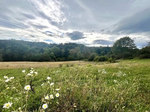 Nutzen Sie noch heute die einmalige Gelegenheit und sichern Sie sich dieses attraktive Baugrundstück in der idyllischen Lage in der Nähe von Leibnitz. Das sonnige Grundstück besticht durch seine süd-west Lage und profitiert von einer leichten Hangnei...