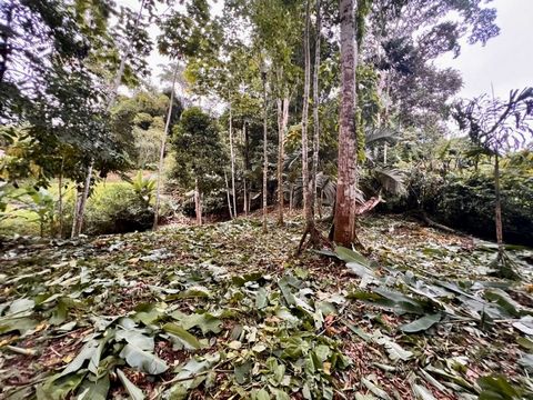 Tu oportunidad de inversión en Cocles, Puerto Viejo de Limón. Este impresionante lote titulado de 1,800 m² ofrece una combinación única de naturaleza, ubicación estratégica y tranquilidad. Ubicado sobre una calle pública con acceso a electricidad, es...