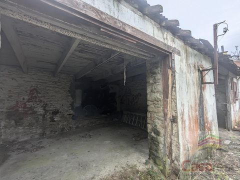 photo no. 1
