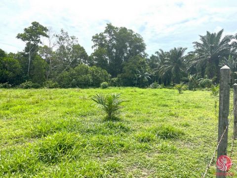 Nestled in the serene district of Thai Mueang, Phangnga, this 1-rai plot offers an exceptional opportunity to own a piece of paradise. The flat, vacant land is surrounded by lush, green nature, providing a tranquil and picturesque setting. Adjacent t...