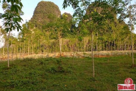 This is a 16 Rai land plot for sale in Nong Talay. The land has a small palm plantation that is 2 years old. One Rai of flat land has a fantastic mountain view and is surrounded by a lot of fresh green nature. The plot length is approximately 370 met...