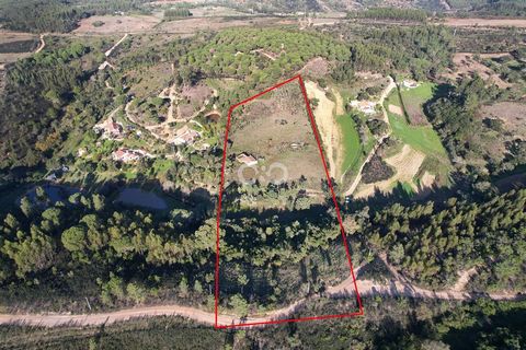 Descubra esta propiedad única, situada en una zona tranquila y rodeada de la belleza natural de la región de Relva Grande, São Teotónio. Con 2,2 hectáreas de terreno, la quintinha se destaca por la abundancia de recursos naturales, incluyendo árboles...