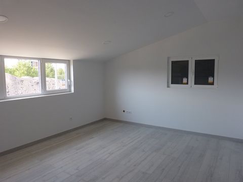 photo no. 12