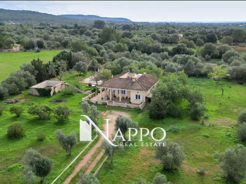 Nappo Real Estate presents this quiet and familiar detached villa with private pool and a plot of 8300 m² is the ideal home for those seeking tranquility, privacy and quality of life.The property has 3 spacious double bedrooms with fitted closets, a ...