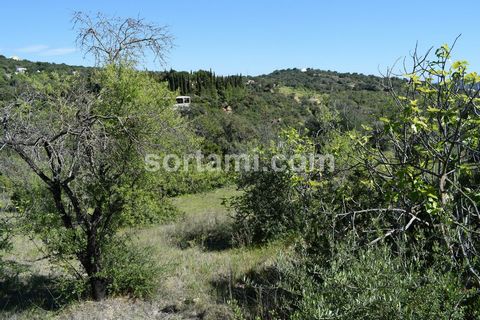 Terrain rustique avec un bon accès. L´eau et l´electricité à proximité. Pente modérée avec vue imprenable sur la vallée. A quelques minutes de Loulé.