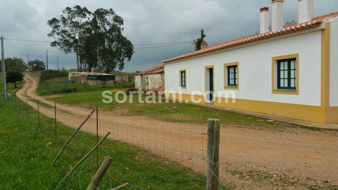 Charmosa Moradia de campo ao estilo alentejano, composta por cinco quartos. A casa tem espaços generosos, com uma vista desafogada para o campo, zona calma e acolhedora. Apenas a quinze minutos da cidade de Serpa. Serpa é uma cidade raiana portuguesa...