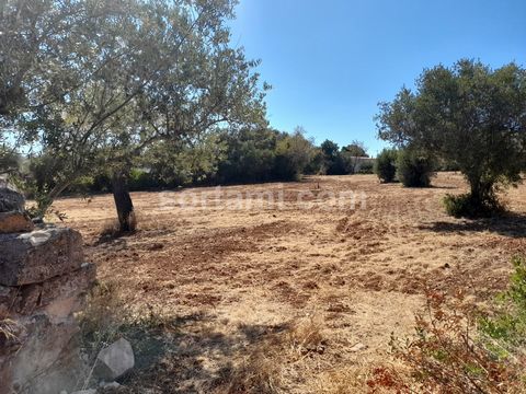 Rustic plot of land with several olive- and almond trees, with a total area of 7530 m2. With access by a paved road, water and electricity nearby, this land is located within 10 minutes drive from the city Loulé, a council where some of the most cove...