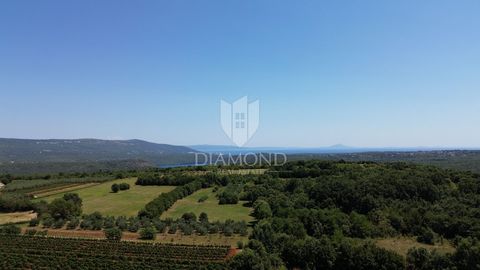 Location: Istarska županija, Barban, Barban. An extraordinary building plot with a total area of 592m² is for sale, located in the picturesque area of Barban. This plot offers spectacular sea views, ideal for those looking for a peaceful and beautifu...