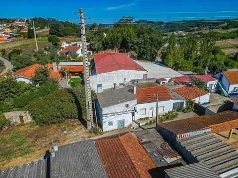 Cette charmante villa de 2 chambres est située à Relvas, un village tranquille situé à quelques minutes de Santa Catarina. L’emplacement privilégié vous permet de profiter de la sérénité de la nature et, en même temps, d’avoir un accès facile à tous ...