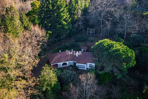 Farm with 3200 m2 in Vieira do Minho Gerês Are you looking for your refuge in full communion with nature? You just found it. This magnificent farm, located in the Caniçada area, in Vieira do Minho, very close to the bridges of the Caldo River and con...