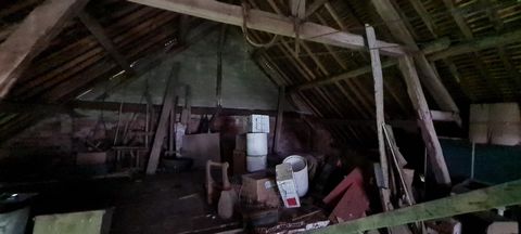 photo no. 4