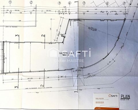 photo no. 5