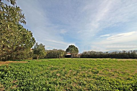 Idéalement situé à proximité de toutes commodités, sur un écrin de verdure et hors lotissement. Venez découvrir ce terrain à bâtir orienté plein sud, avec une vue imprenable sur les Albères , celui-ci est viabilisé et d' une belle contenance très rar...