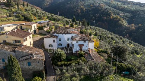 This charming property awaits you in Vinci, in the heart of Tuscany, a location rich in history and culture, known as the birthplace of Leonardo da Vinci. Surrounded by rolling hills and olive groves, the farmhouse offers a truly captivating setting,...