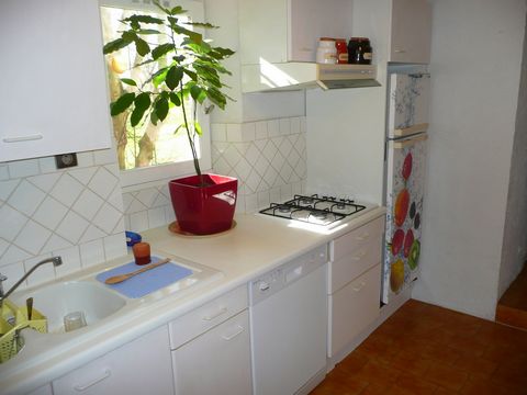 photo no. 21