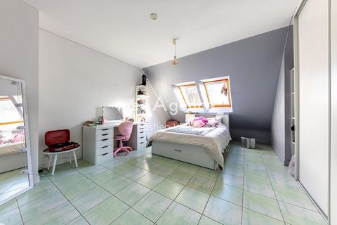 photo no. 12