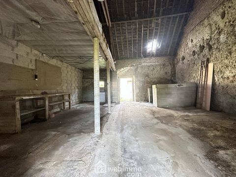 photo no. 17