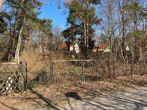 Building land plot according to B-plan with a view of unobstructed landscape, for 1- or 2-family house or semi-detached house *German : This exposé is available in German, English and Russian. *english : This Expose is available in German, English an...