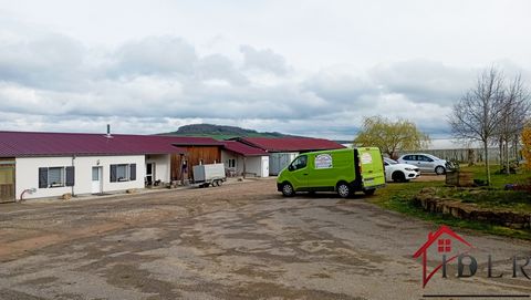 SECTEUR DE VITTEL, à seulement 30 mn de NANCY, cette exploitation cherche un repreneur. Reconnue pour sa qualité de production de fraises et de fruits rouges.. CHIFFRES CLES : 6 serres à fraises en double parois pour une surface de 2600 m2. 5 serres ...