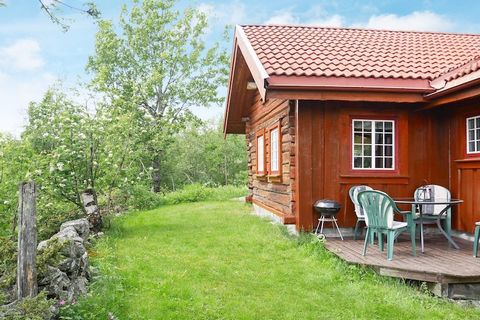 Hemsedal gilt als Eldorado für Skifans und für alle die gerne Bergwanderungen in malerischer Umgebung unternehmen. Diese Ferienhäuser bei Hulbak liegen in einer ruhigen, landschaftlich reizvollen Umgebung mit Wanderwegen, Golf und Aktivitätszentrum i...